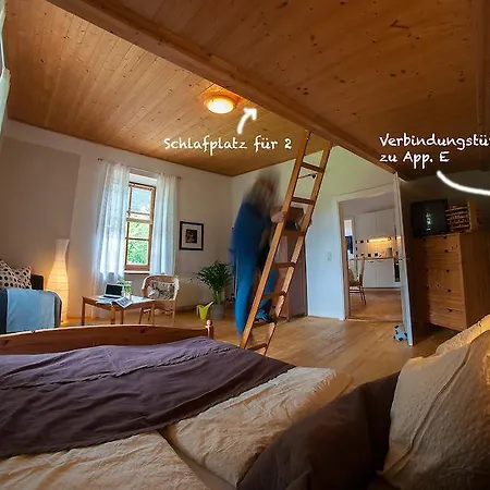 Gabis Apartment Krimml